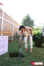 Plantation d'un arbre pour le lancement nouveau bâtiment