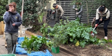 Fondation des Alliances Françaises